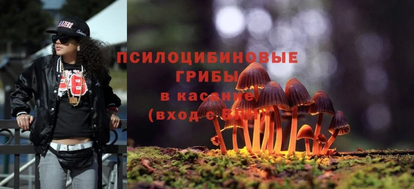 гашиш Белокуриха
