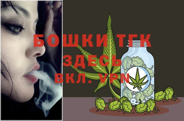 тгк Беломорск