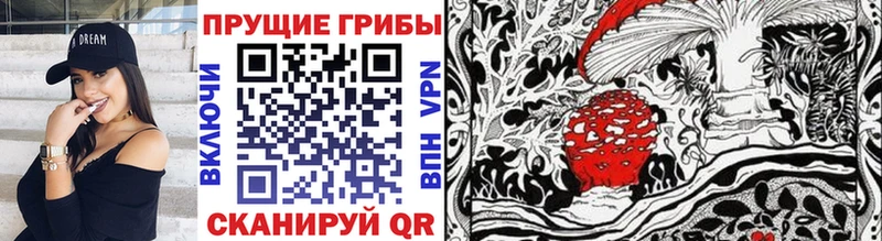 Галлюциногенные грибы Cubensis  Сыктывкар 