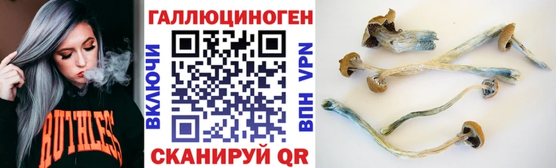 Галлюциногенные грибы мухоморы Сыктывкар